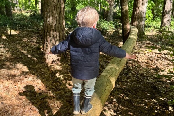 Nos sorties en forêt